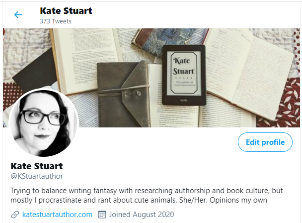 Twitter profile displaying author bio with mantra