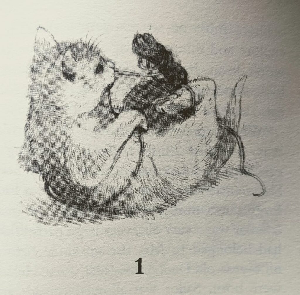 Image of Nutmeg from Nine Lives: Ginger Nutmeg, and Clove by Lucy Daniels. Cute illustrations, tying in with the overall author branding.